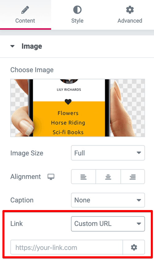 Custom URL option for the image