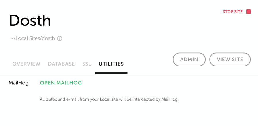 Mailhog access option inside Localwp