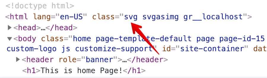 SVG classes added to the HTML tag