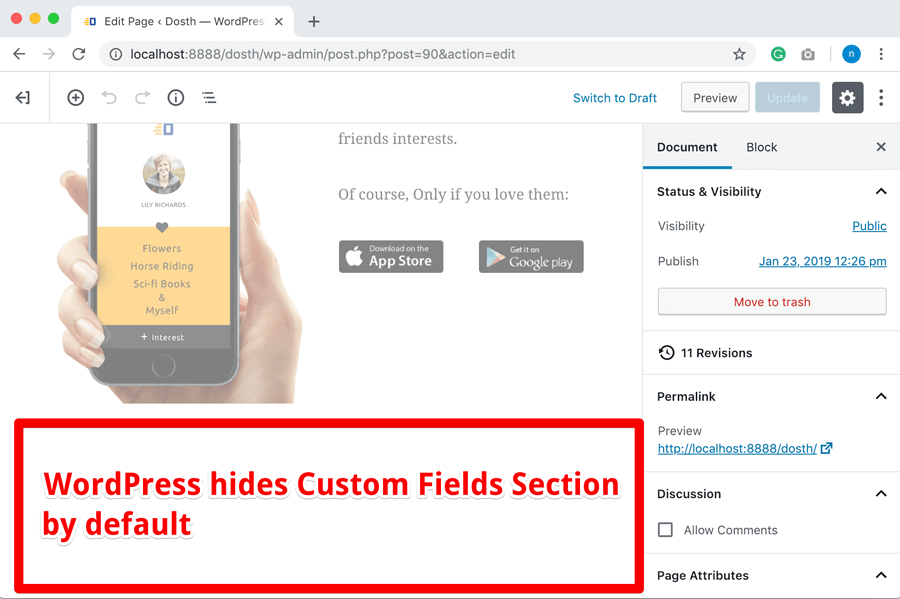 WordPress hides custom fields by default