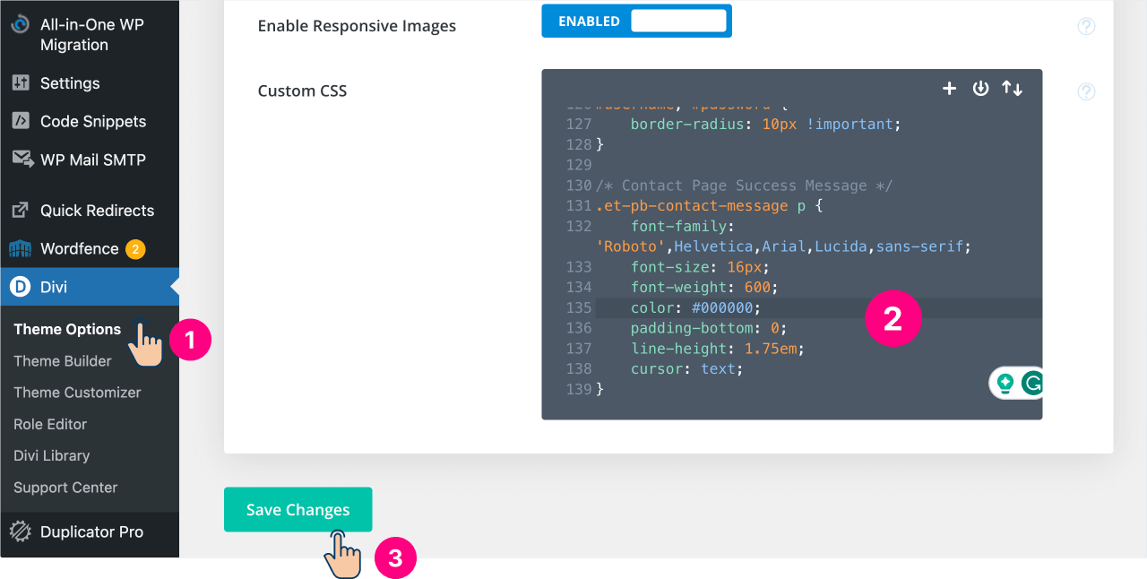 Interface of Divi to add custom CSS